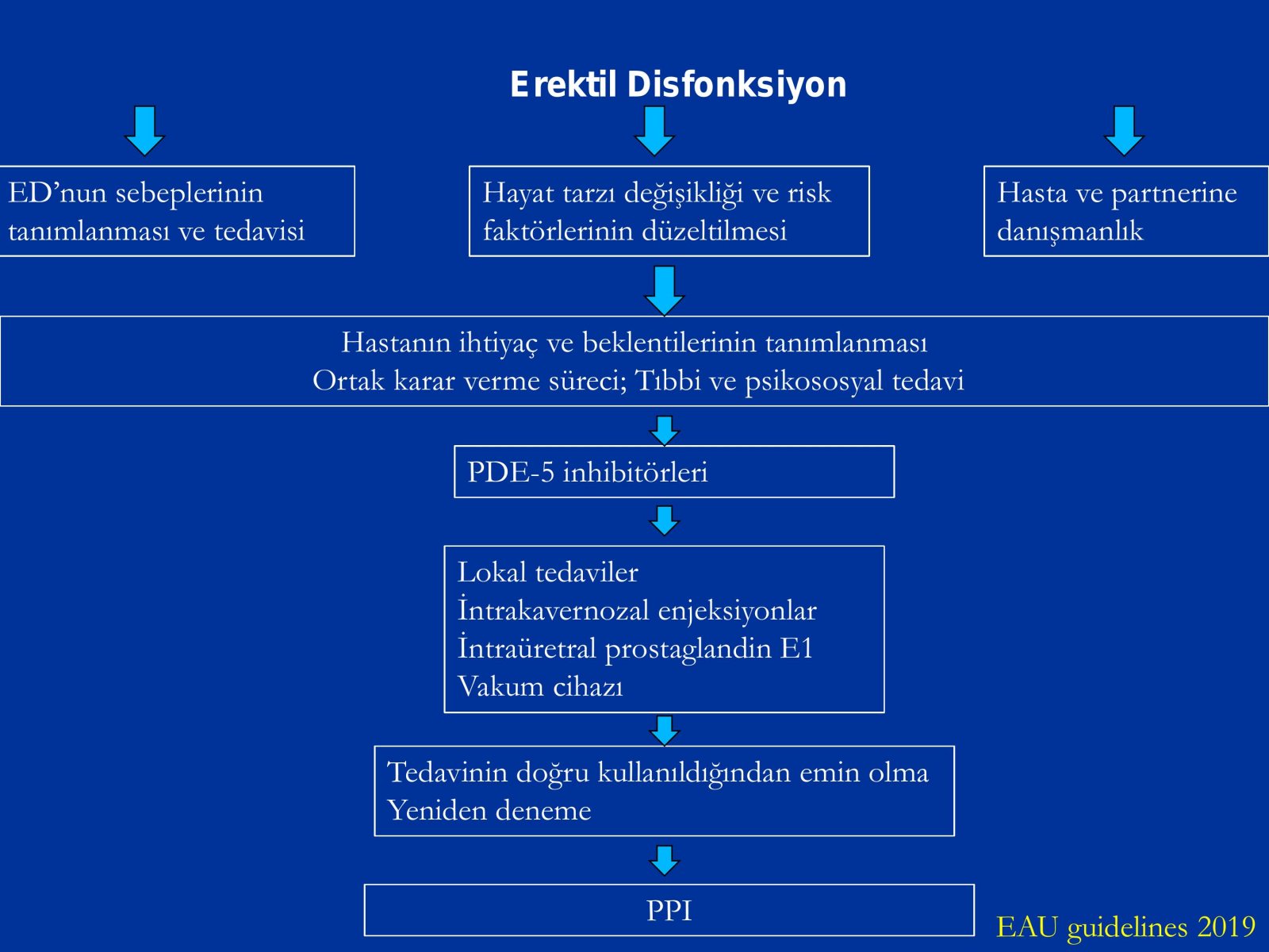 Erektil Disfonksiyon Tedavisi