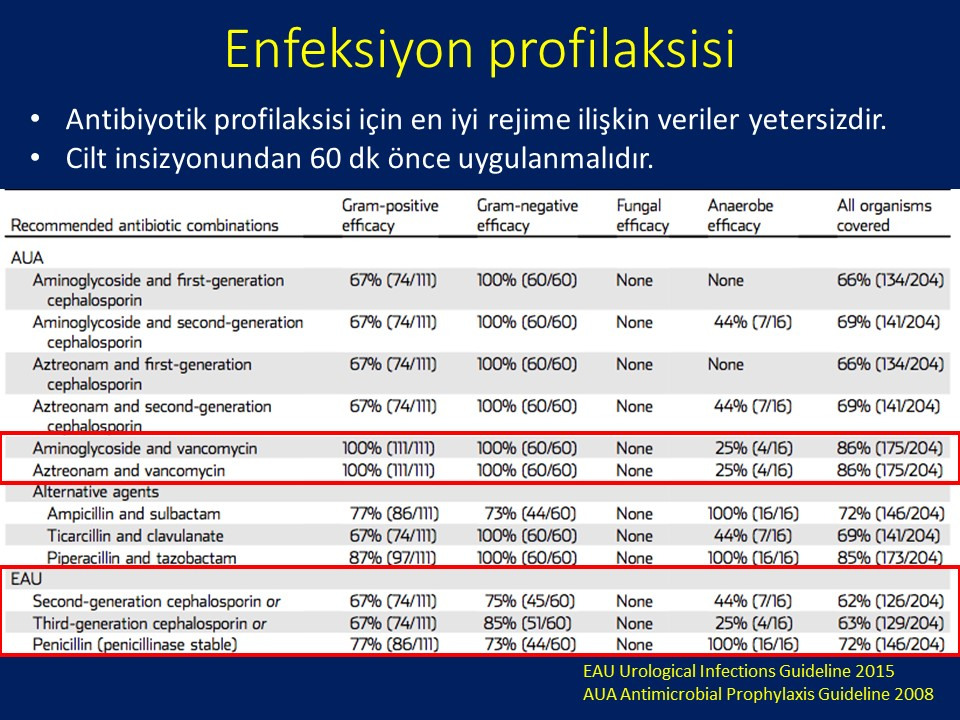 Penil Protez İmplantasyonu